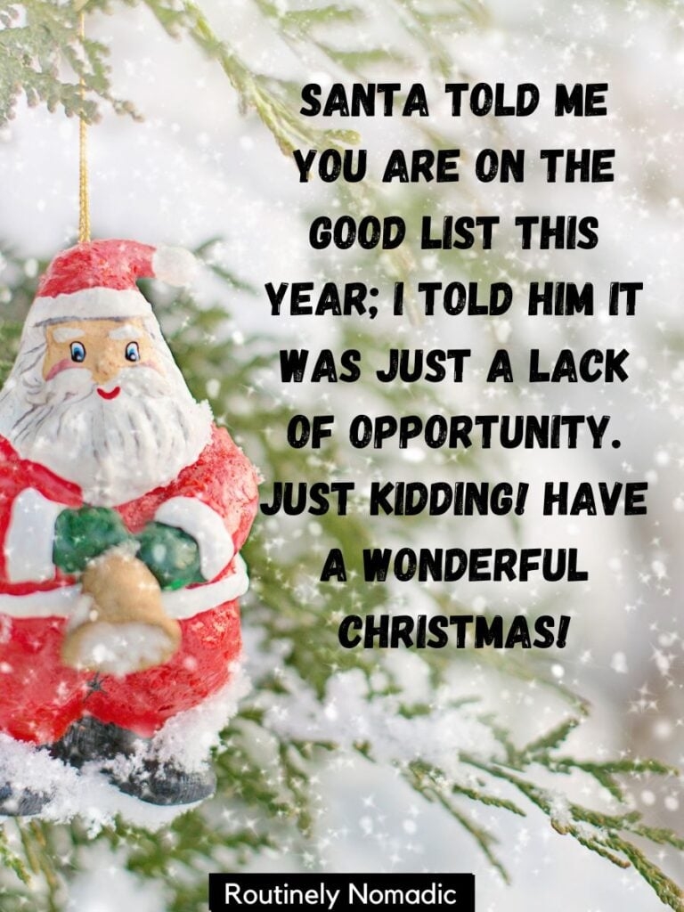 Funny Christmas Wishes 150 Funny Christmas Greetings Routinely Nomadic