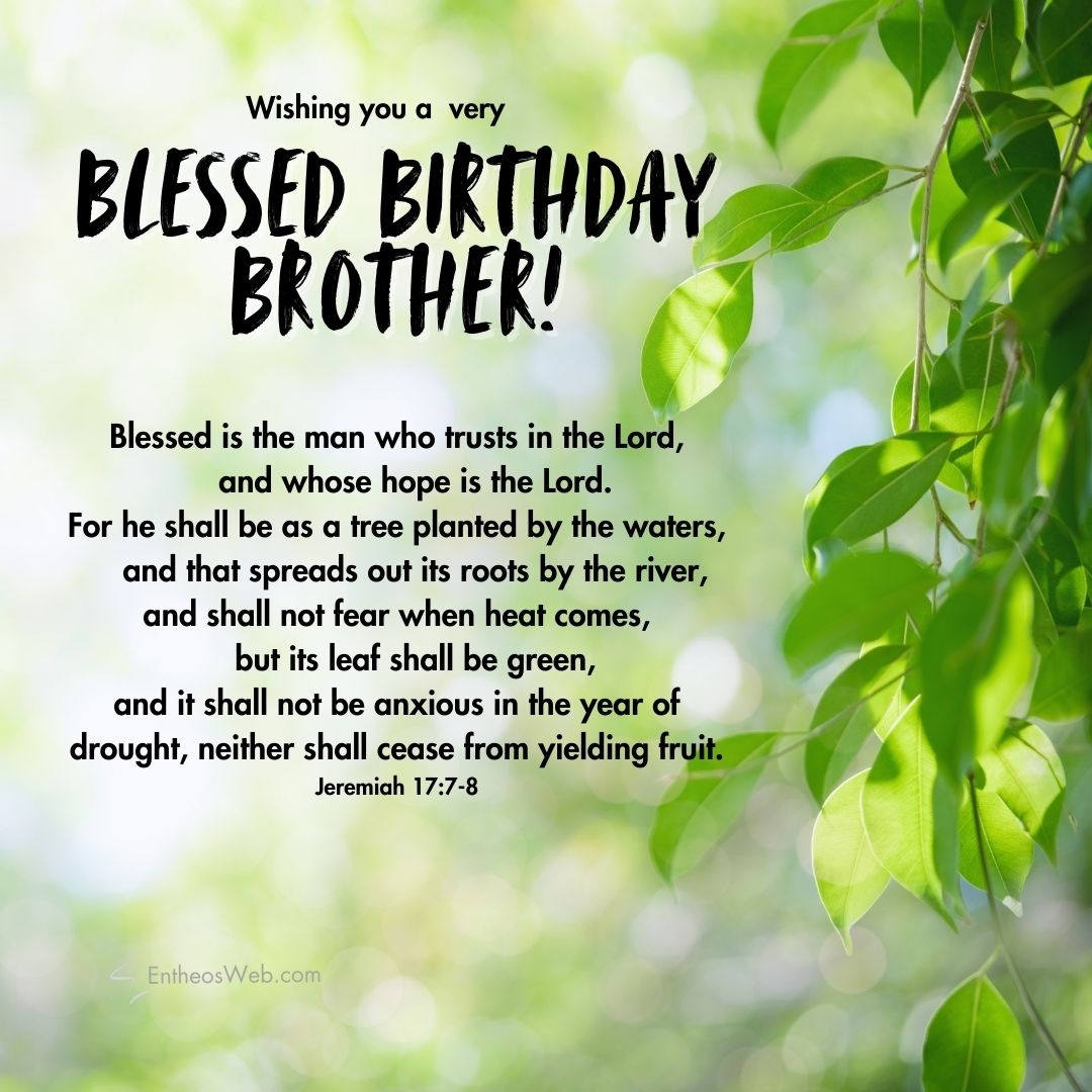Birthday Wishes Blessings For Brother