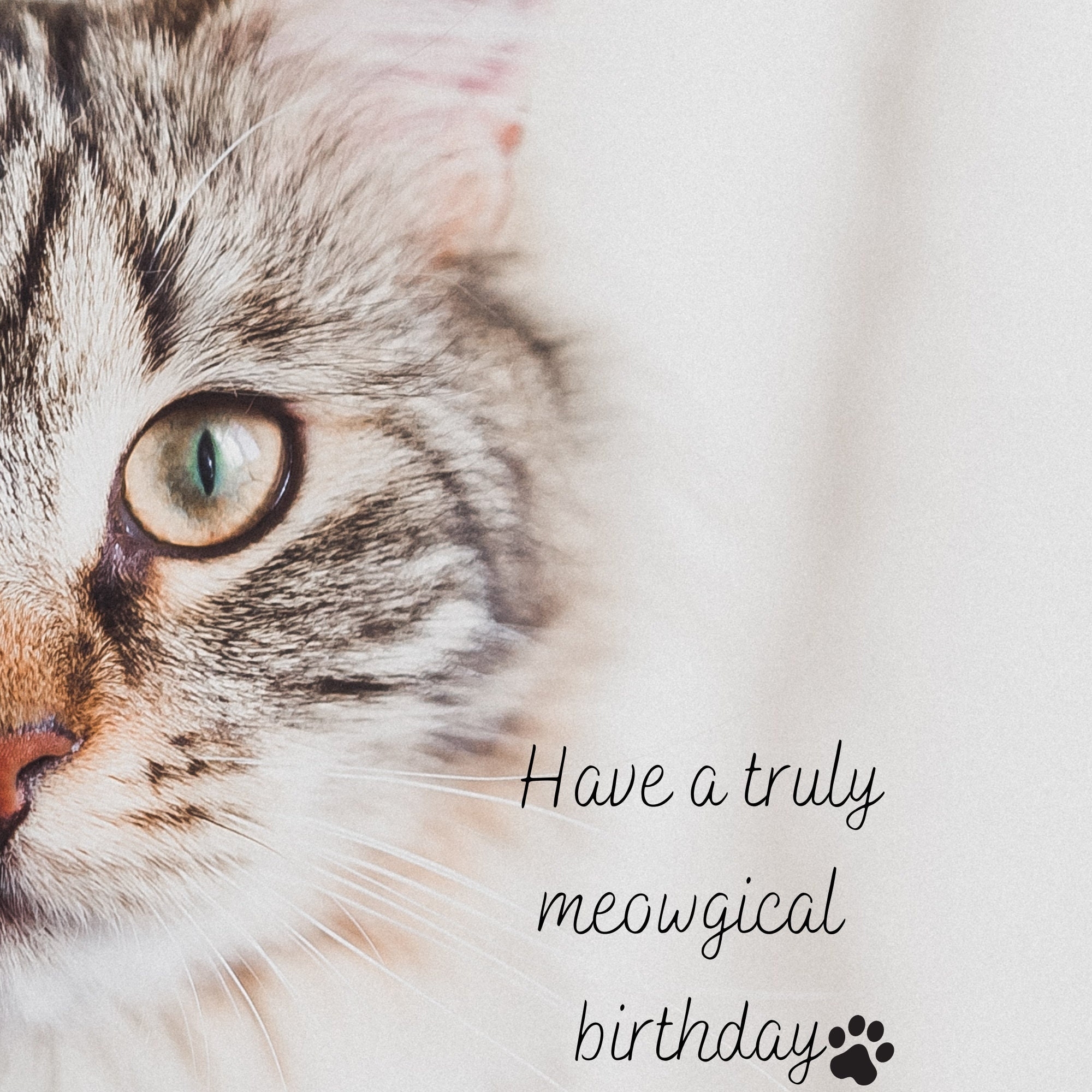 Happy Birthday Card Happy Birthday Animated Card Happy Birthday Digital Birthday Cat Tubby Birthday Wishes Paperless Etsy