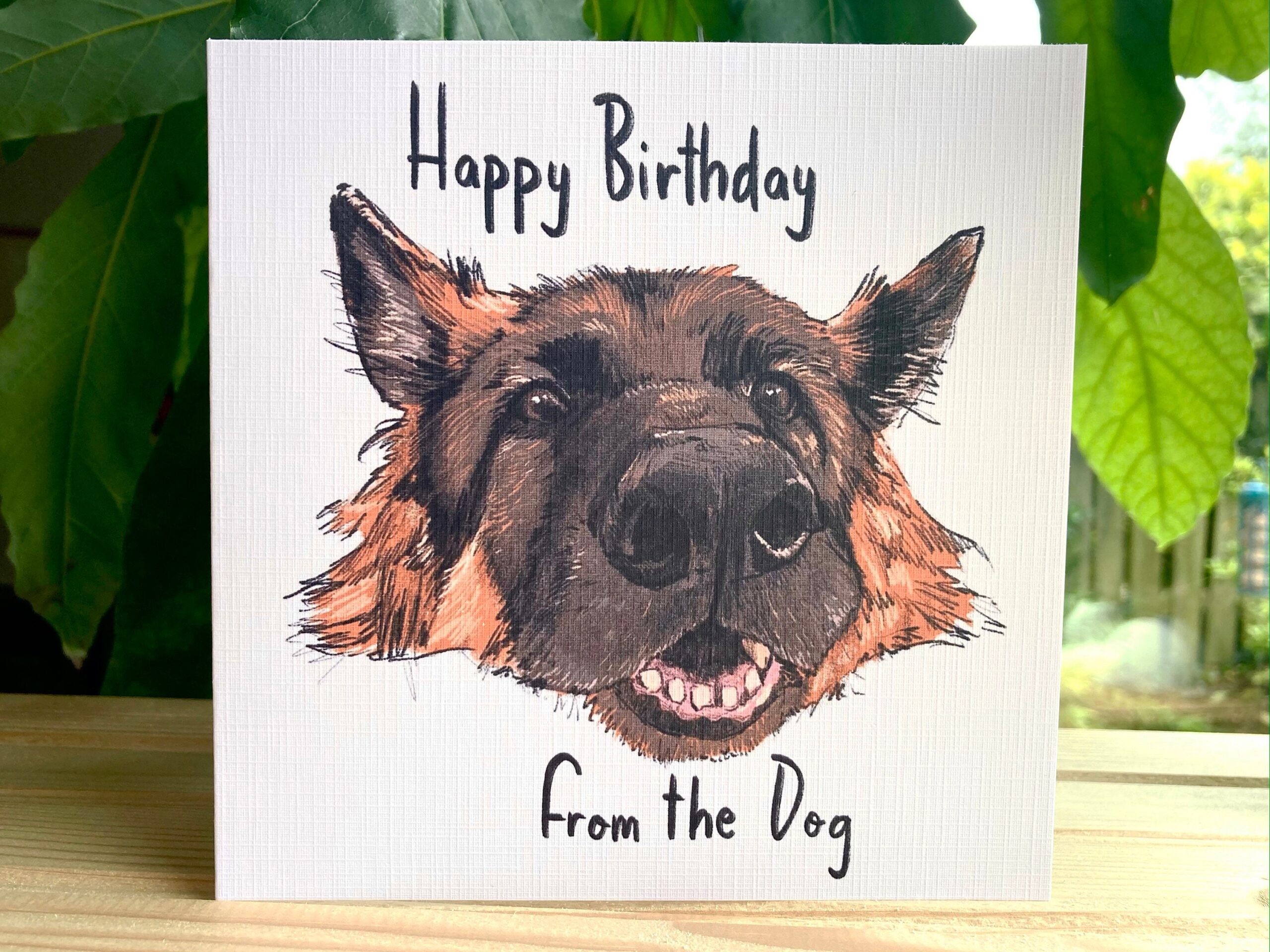 Birthday Wishes From Dog