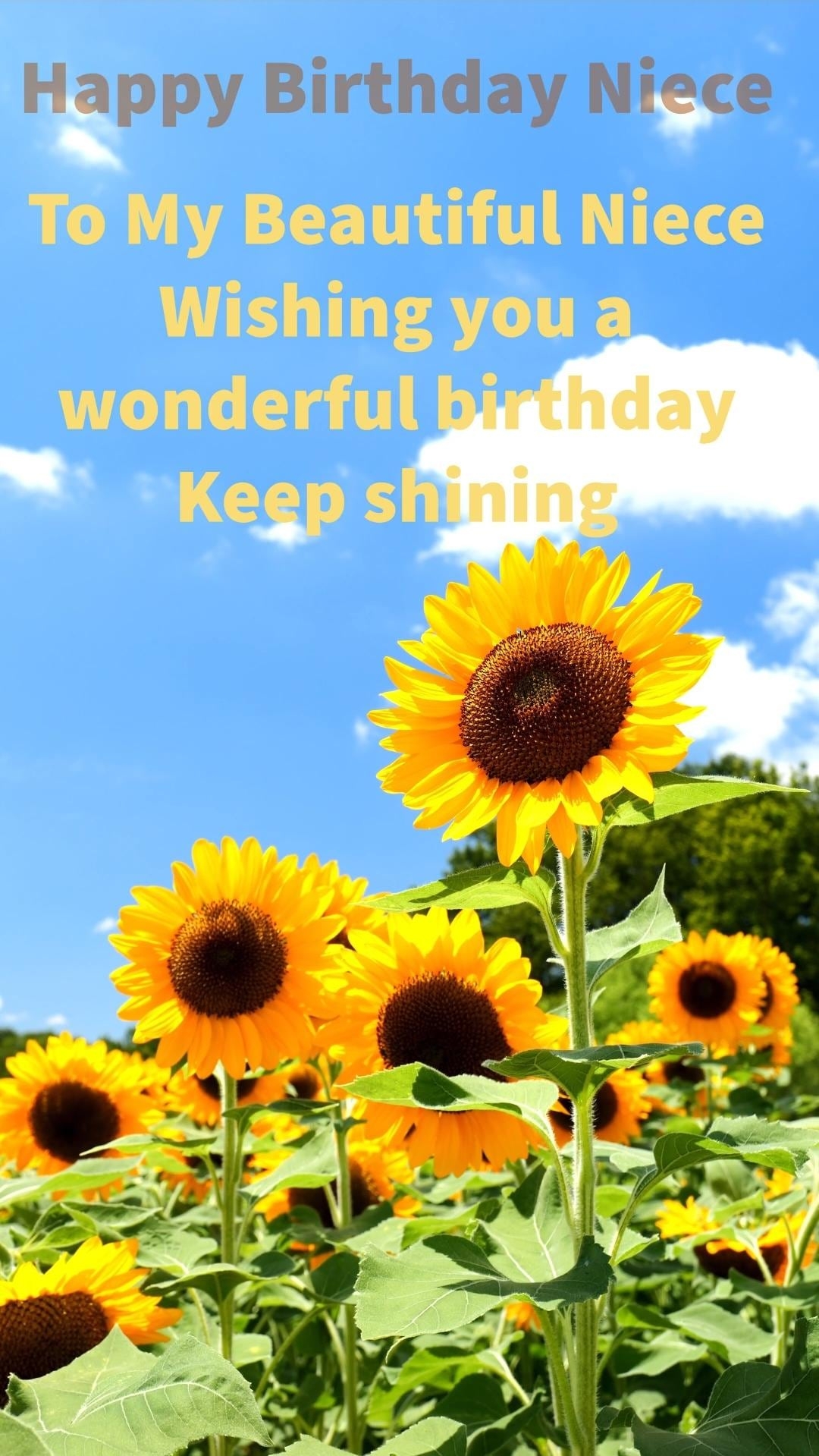 Happy Birthday Niece Ecard Sunflower Video digital Download Etsy Israel