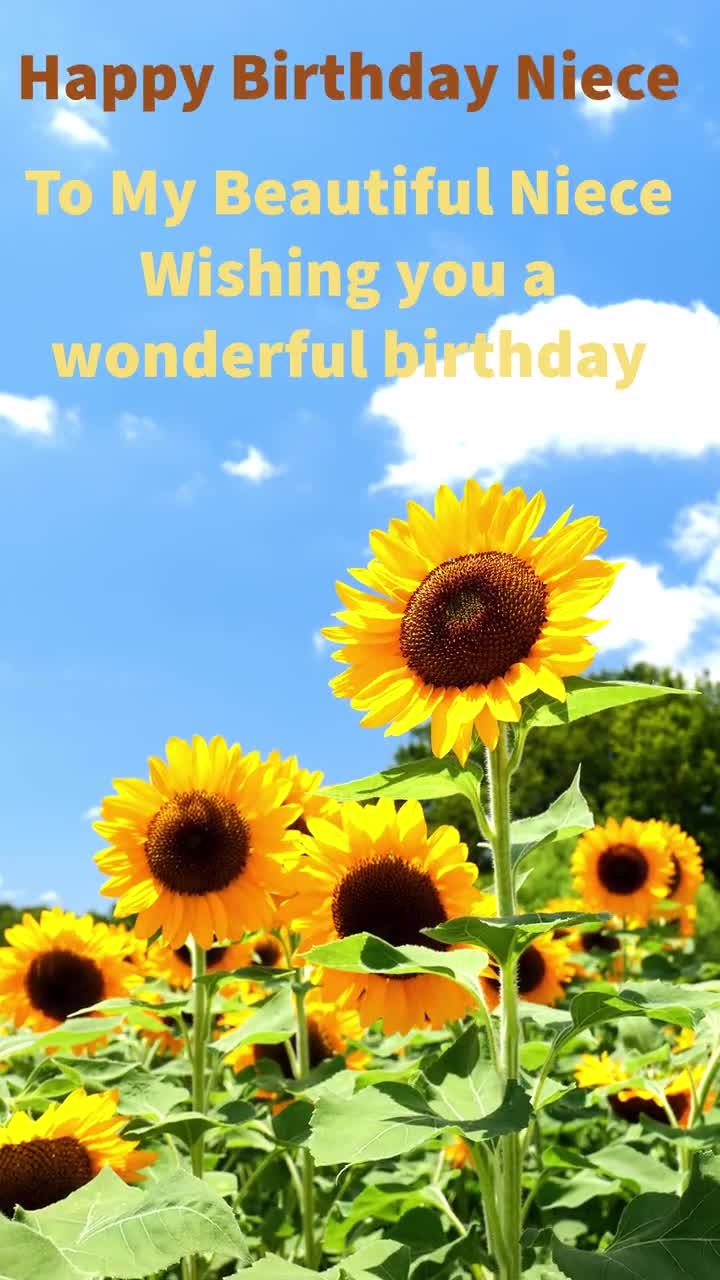 Happy Birthday Niece Ecard Sunflower Video digital Download Etsy Israel