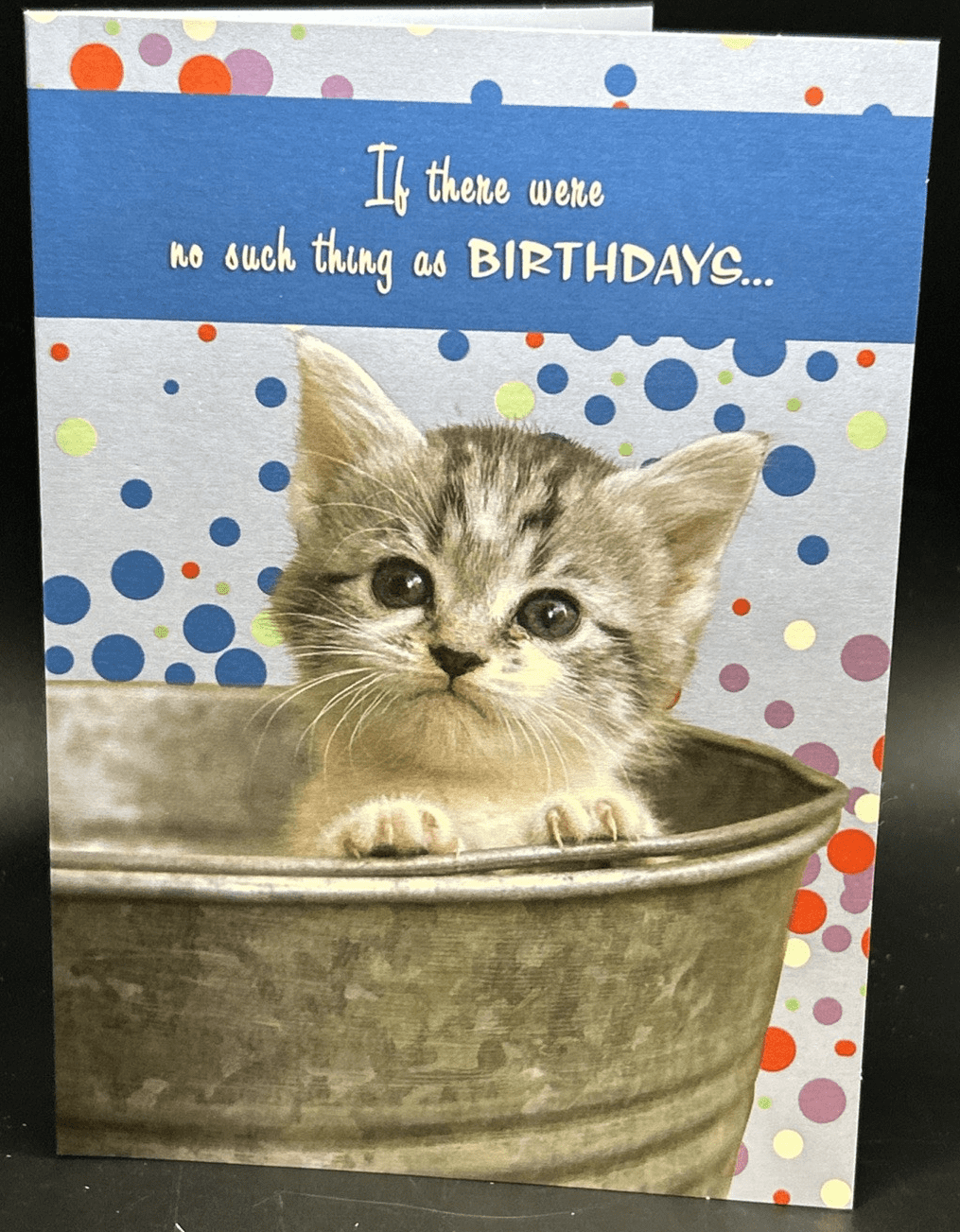 Happy Birthday Paws And Claws Cat Greeting Card W Envelope Walmart