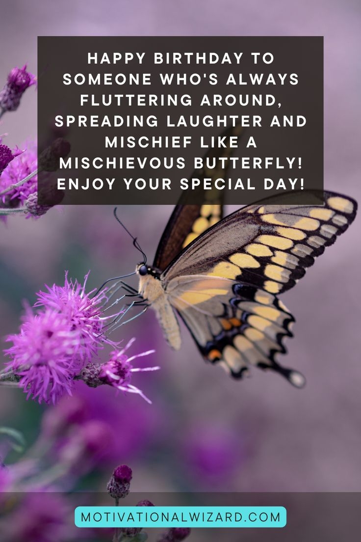 Happy Birthday Wishes Butterfly