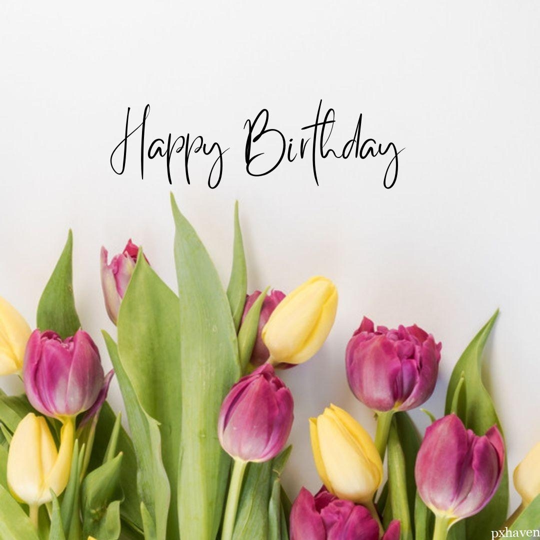 Happy Birthday Wishes Pics Haven