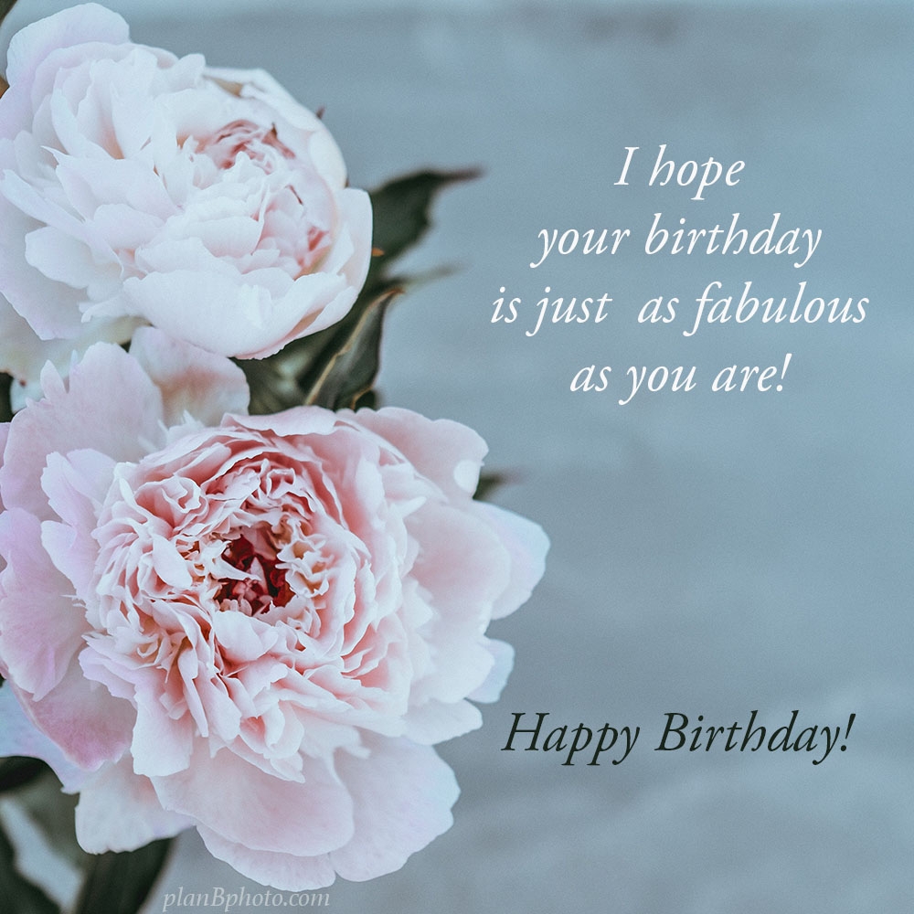 Happy Birthday Wishes