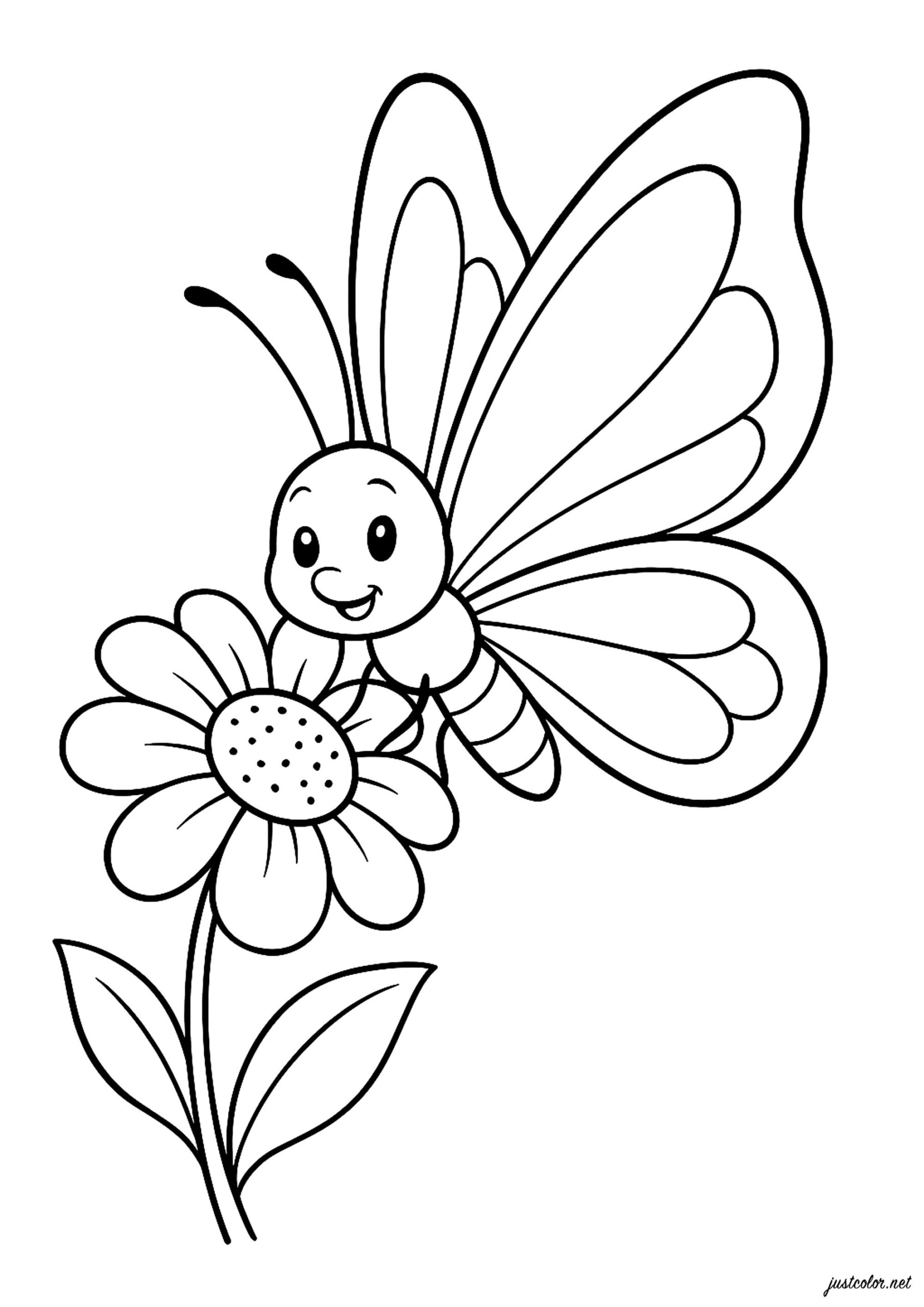 Butterfly Flower Coloring Pages