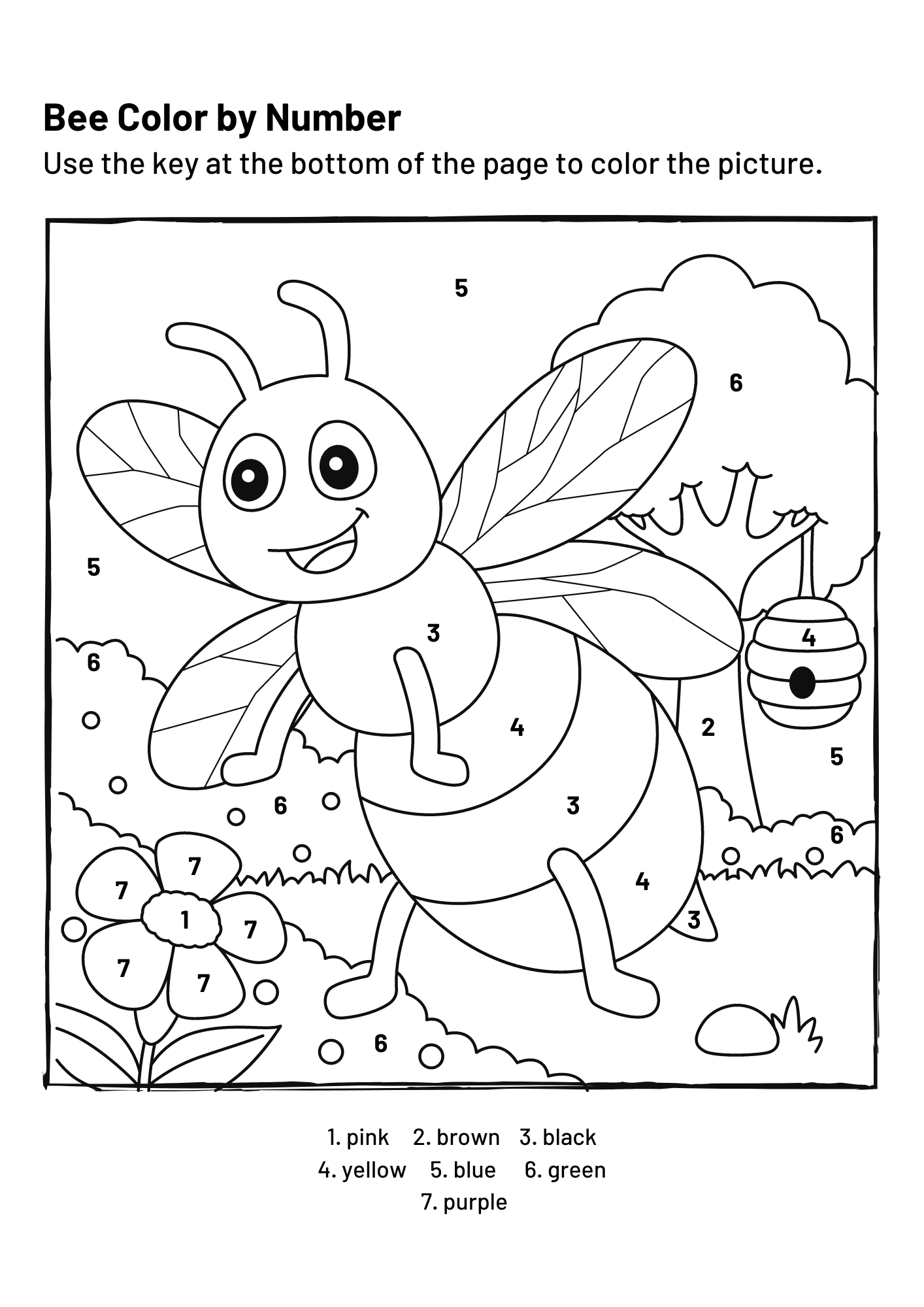 Coloring Book For Kids