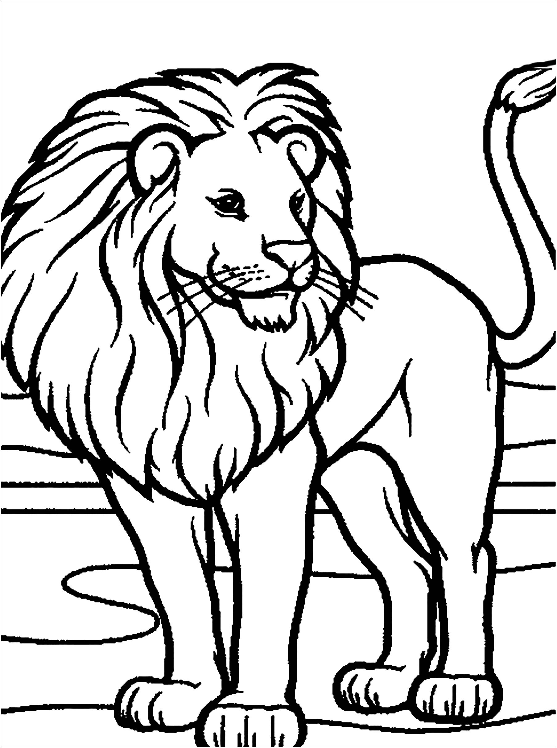 Lion Lion Coloring Pages