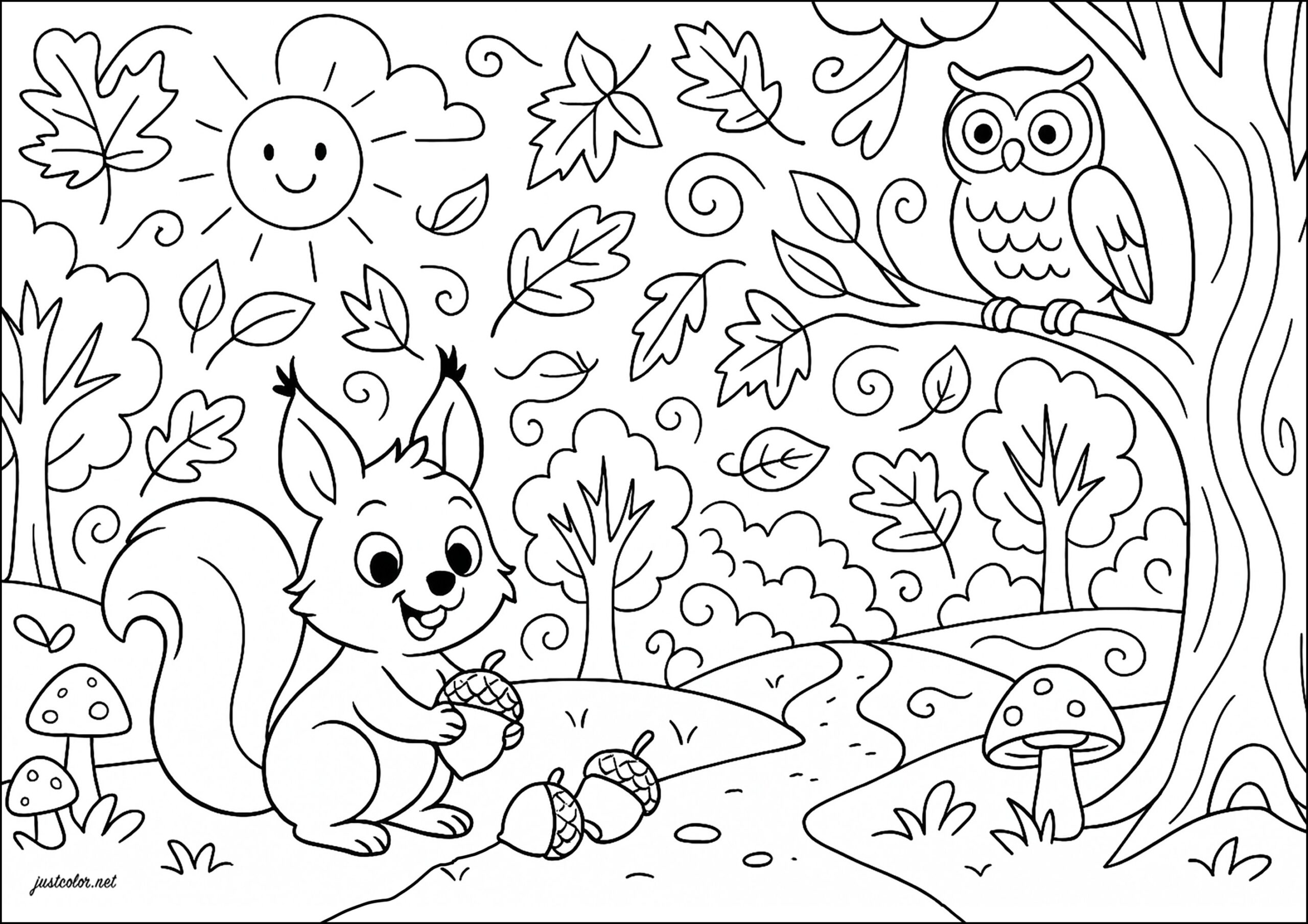 Little Squirrel And His Owl Friend Squirrel Coloring Pages