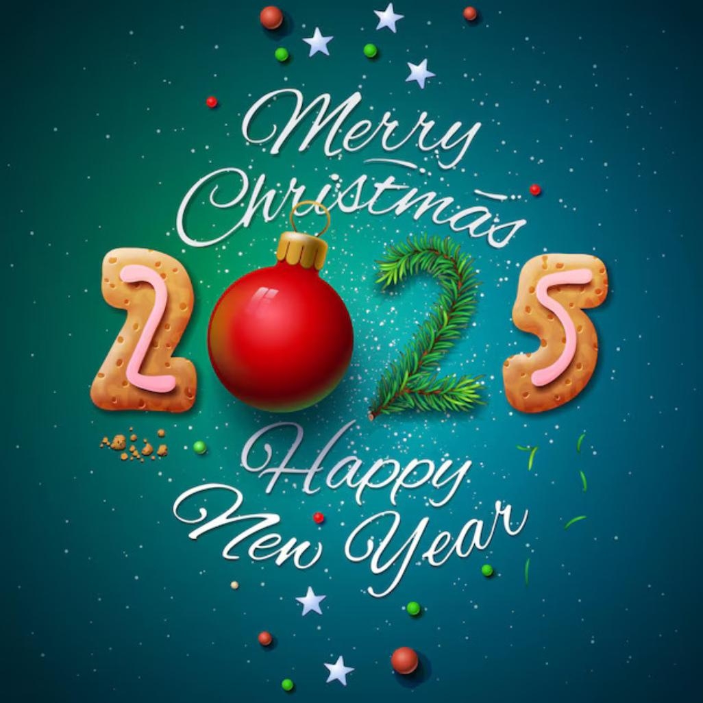 Merry Christmas And Happy New Year 2025 www xinxingarmy