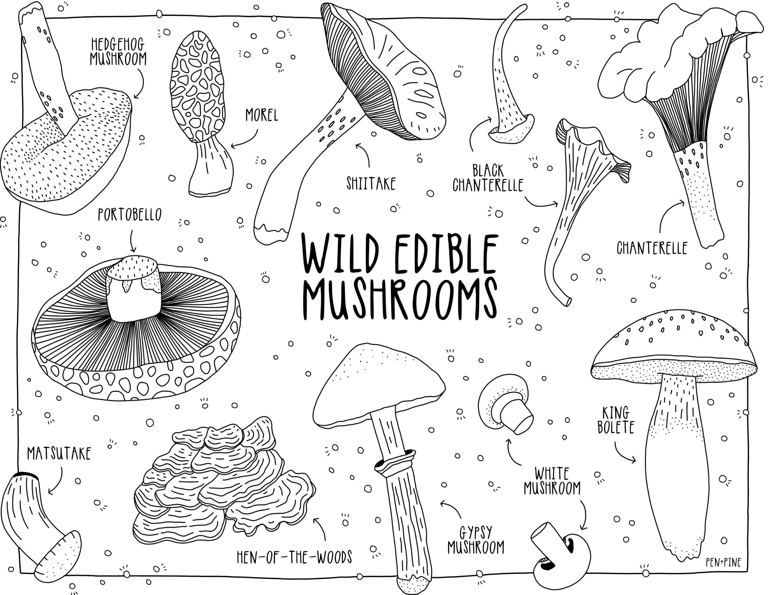Mushroom Printable Coloring Page Adult Children s Coloring PDF Printable Nature Etsy