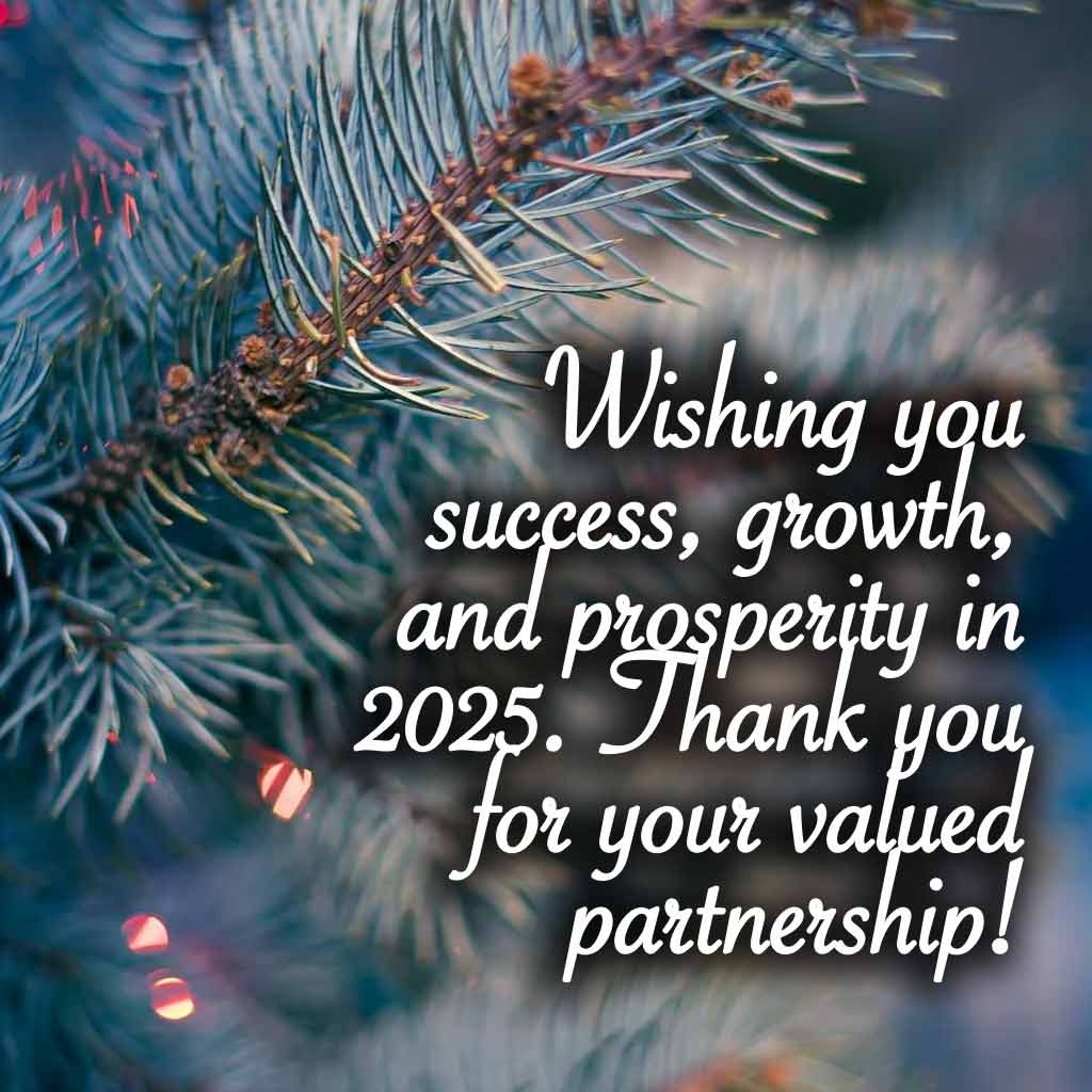 New Year 2025 Wishes Greetings Good Wishes