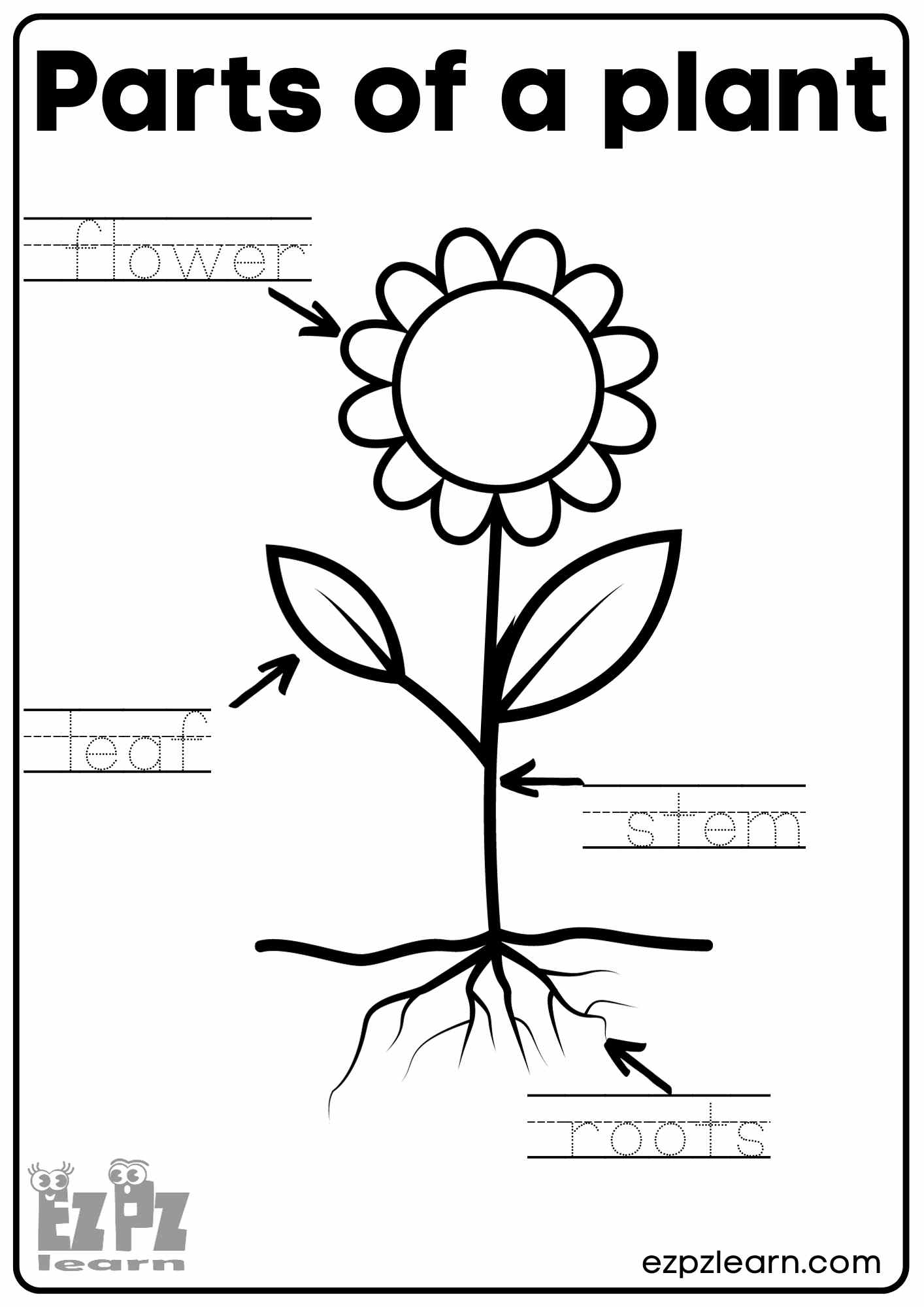 Parts Of A Plant Vocabulary Worksheet Write The Words And Color Worksheets Library