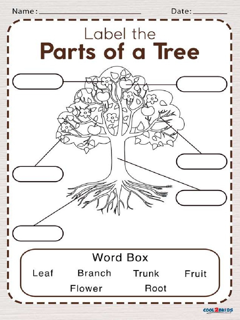 tree worksheets for preschool