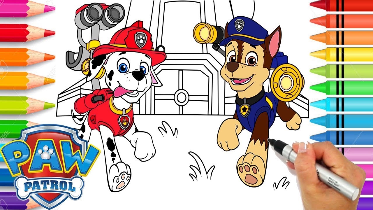 Paw Patrol Chase And Marshall Coloring Page Paw Patrol Coloring Book Printable Paw Patrol Page YouTube