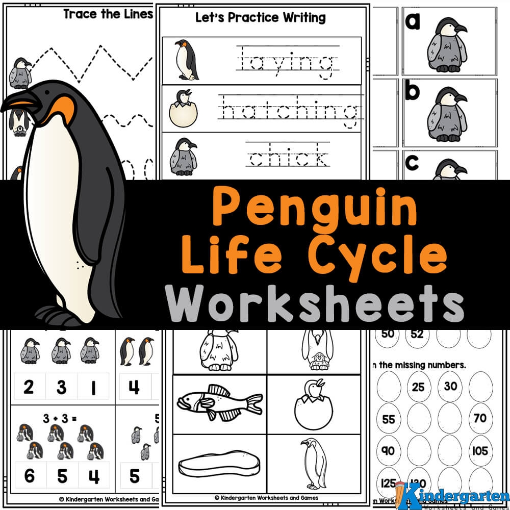 penguin worksheets for preschool