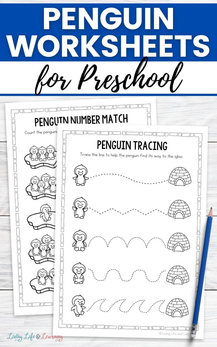 Penguin Worksheets For Preschool Easy Learning Ideas