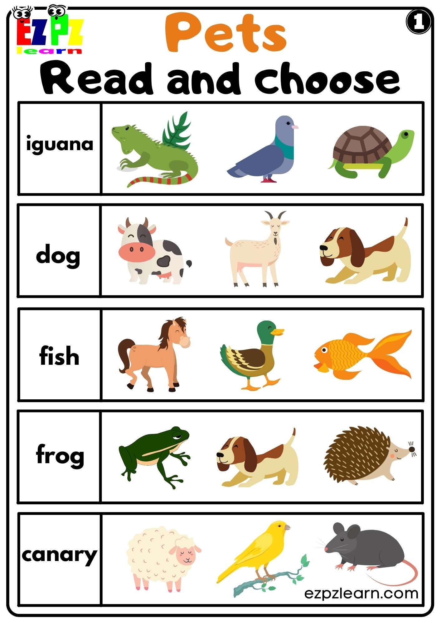 Pets Read And Choose Worksheet For Kindergarten And ESL PDF Worksheets Library