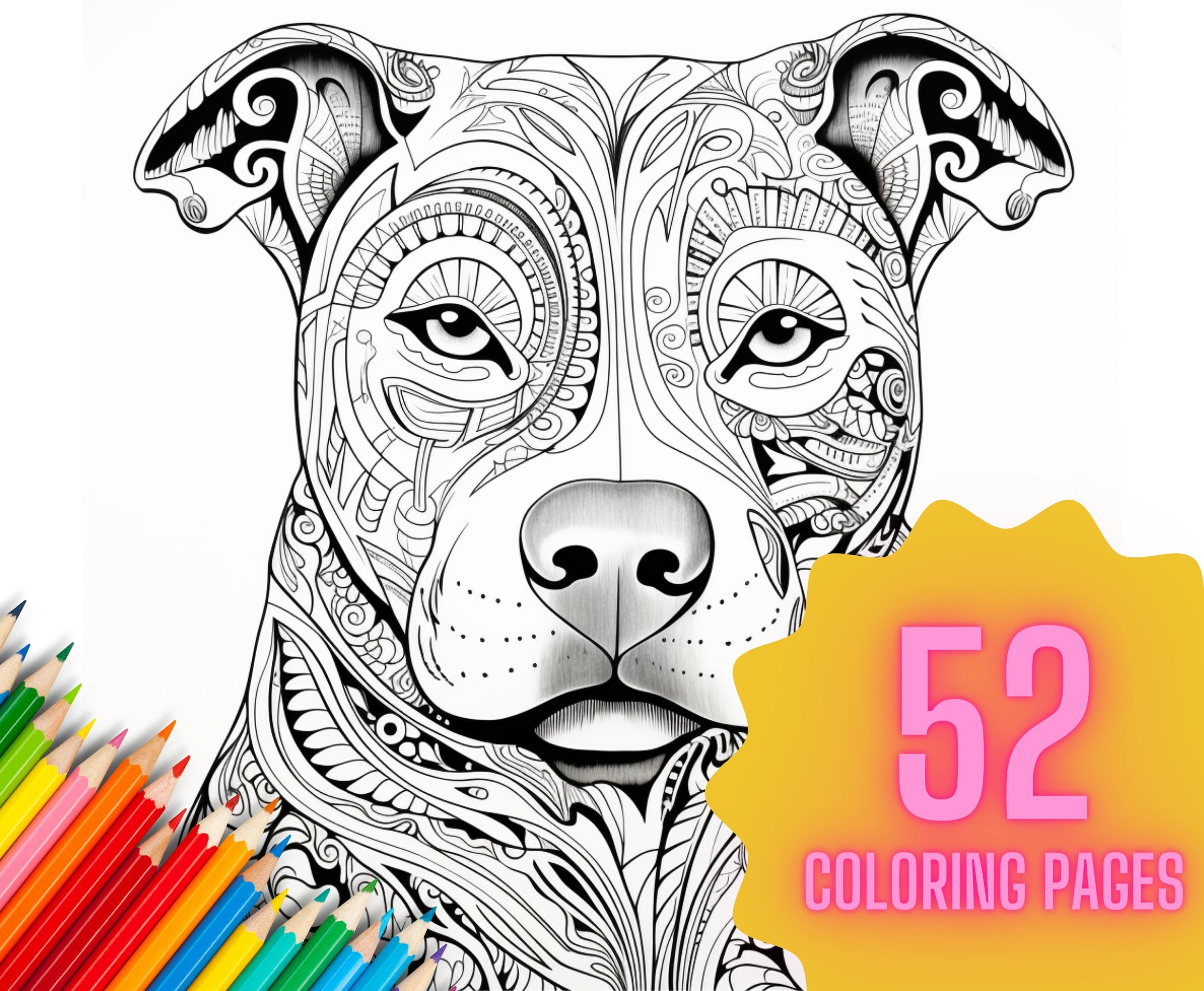 Pitbull Adult Coloring Page Printable Dog Digital Downloads 52 Images Etsy
