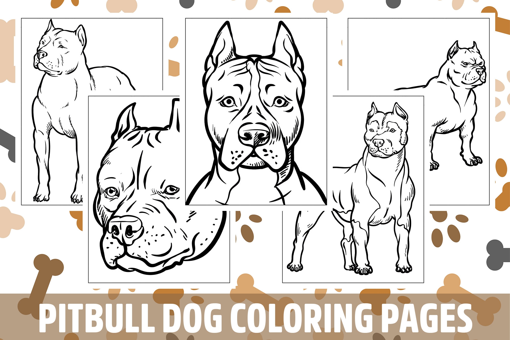 pitbull dog coloring pages