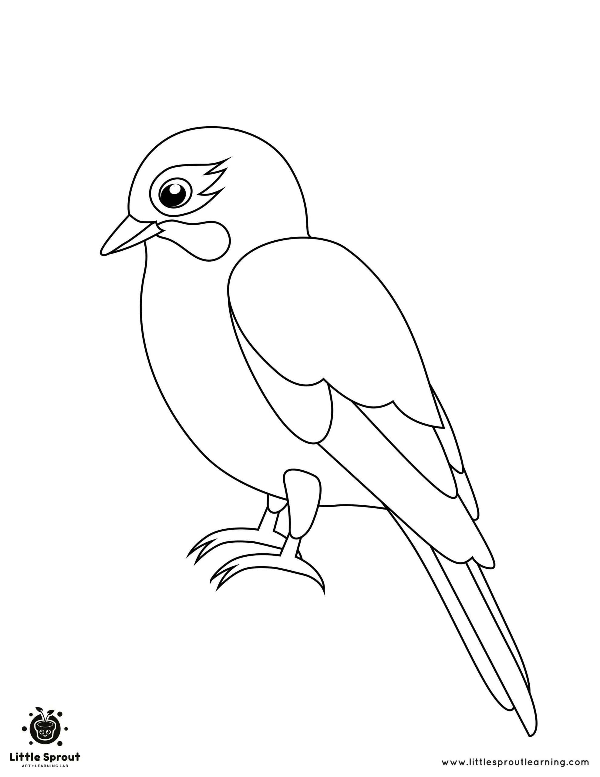 Coloring Pages Of Birds