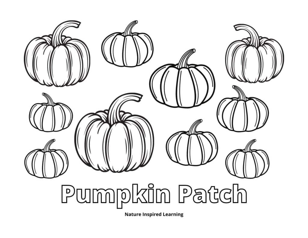 pumpkin patch coloring pages
