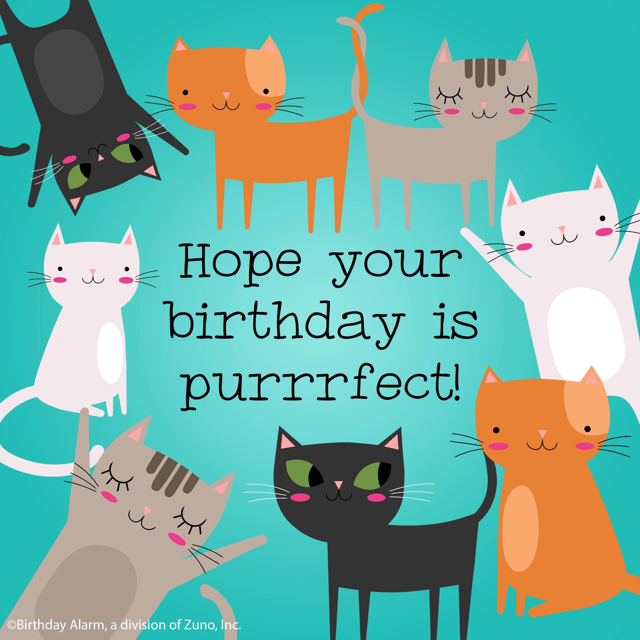 Purrrfect Birthday BirthdayAlarm