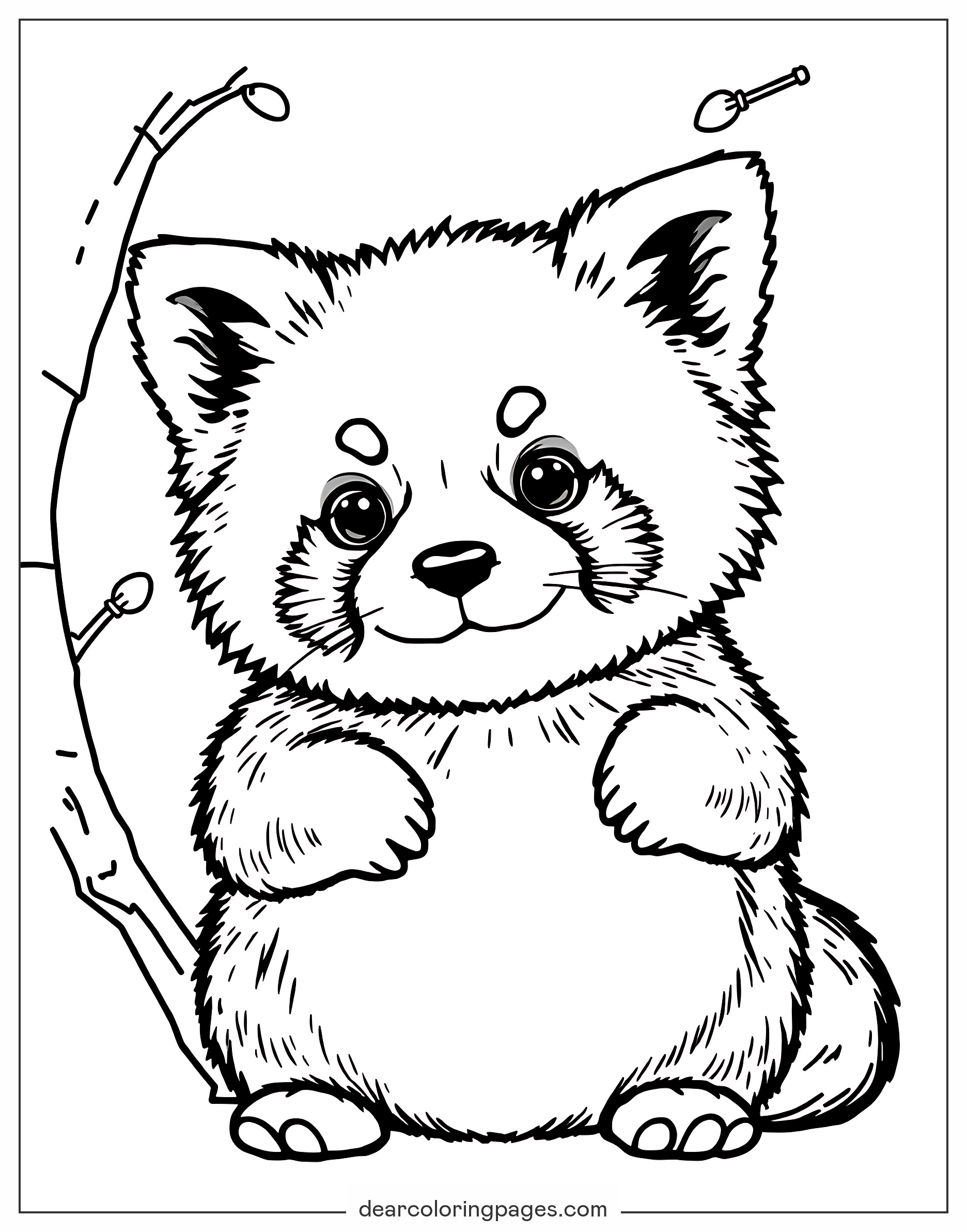 red panda coloring page