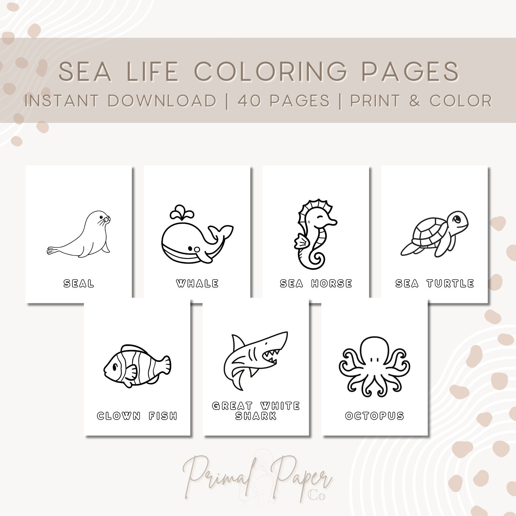 Sea Life Coloring Pages Preschool Coloring Pages Toddler Coloring Pages Preschool Worksheet Sea Life Learning Preschool Education Page Etsy