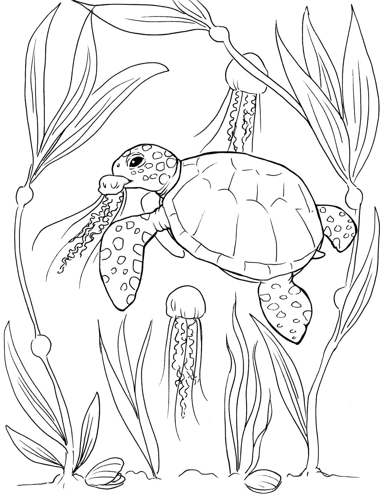 coloring pages sea turtle coloring pages sea turtle