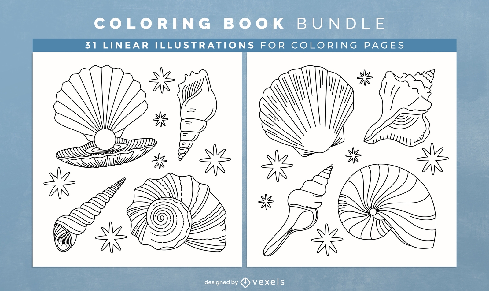 Seashell Ocean Coloring Book Pages Design Vector Download Seashell Ocean Coloring Book Pages Design Vector Download