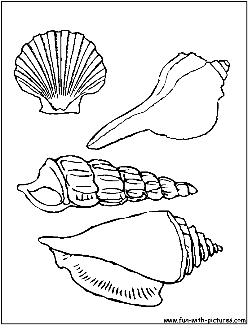 Seashells Coloring Page Seashells Coloring Page
