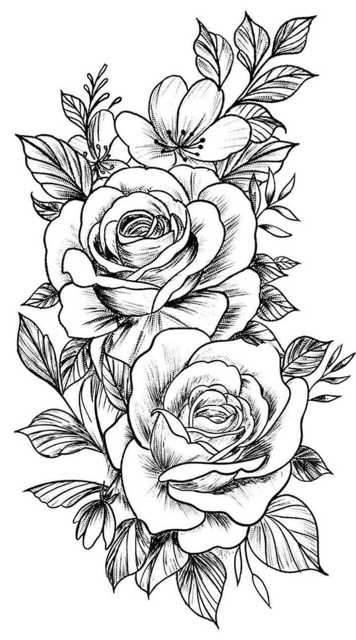 coloring sheets of roses