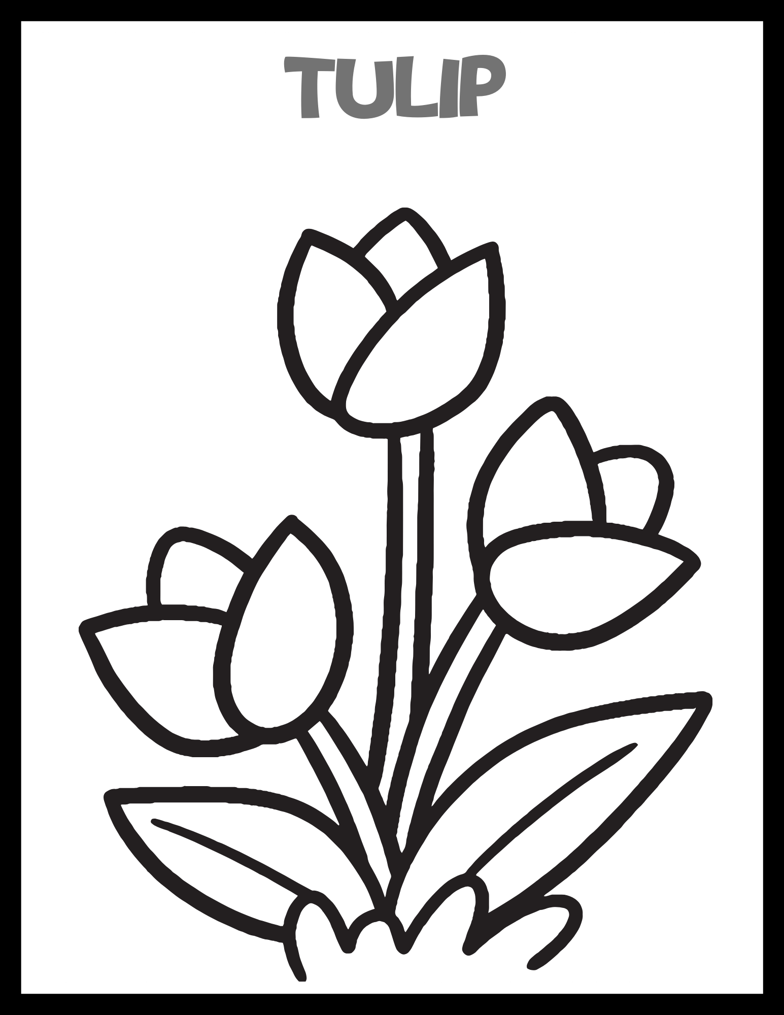Spring Flowers Coloring Pages