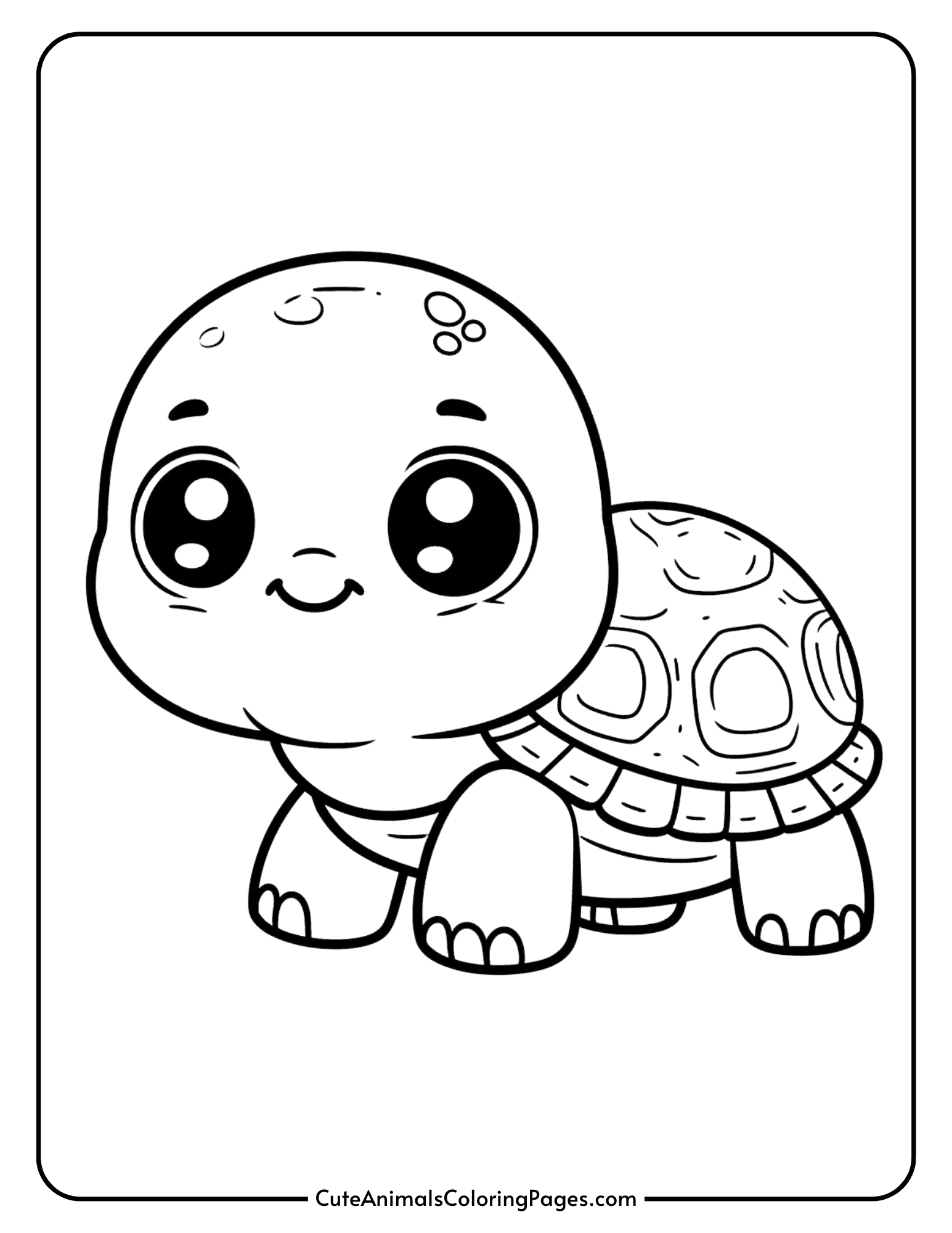 turtle coloring pages printable