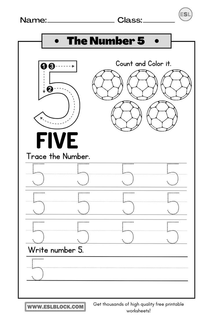 number 5 worksheets for preschool
