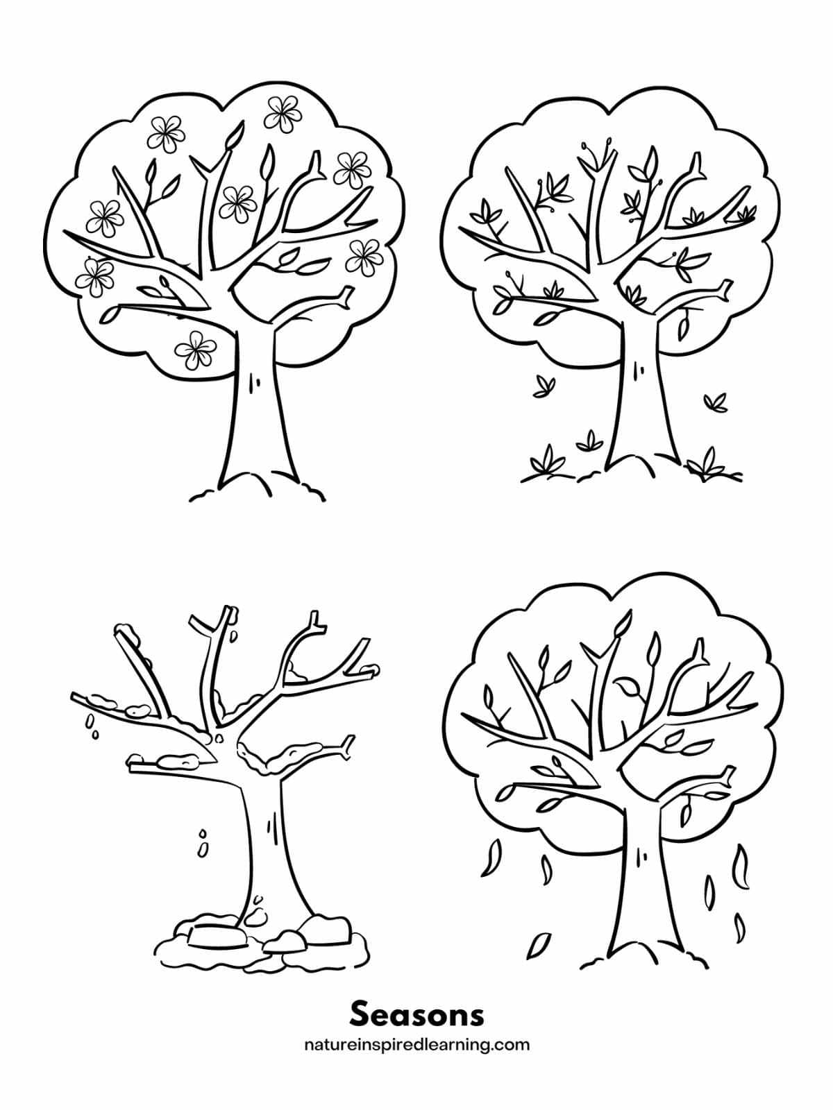 Tree Coloring Pages Nature Inspired Learning