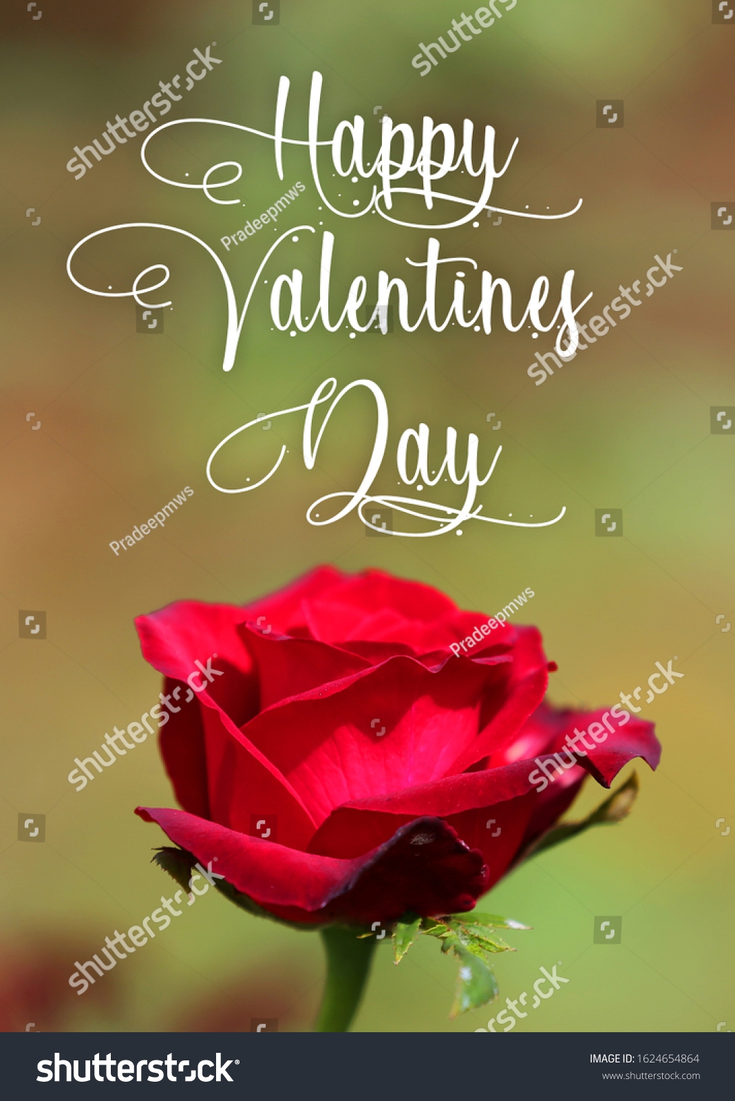 Valentine Day Wishes Everyone Stock Photo 1624654864 Shutterstock