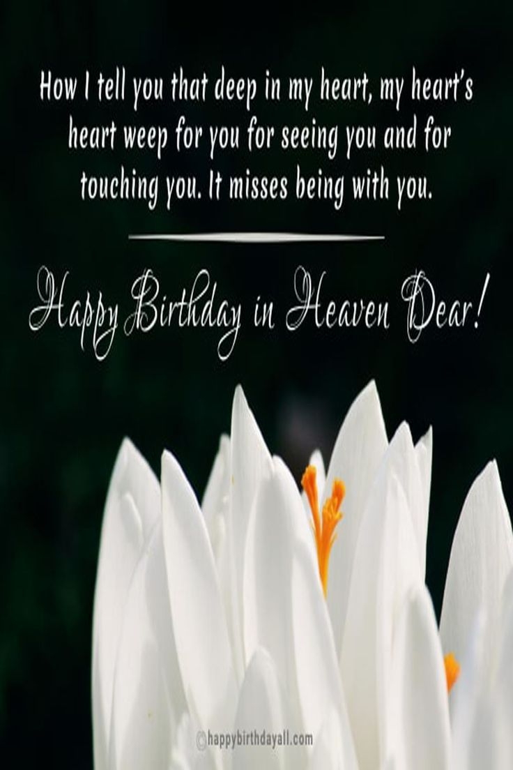 Wishing Someone A Happy Birthday In Heaven Quotes