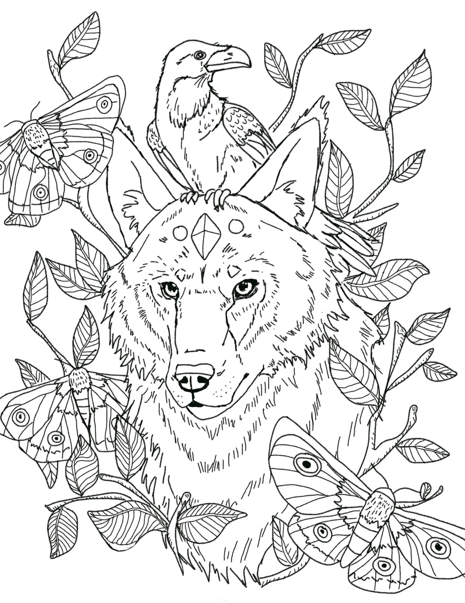 Wolf And Raven Downloadable Coloring Page Etsy Wolf And Raven Downloadable Coloring Page Etsy