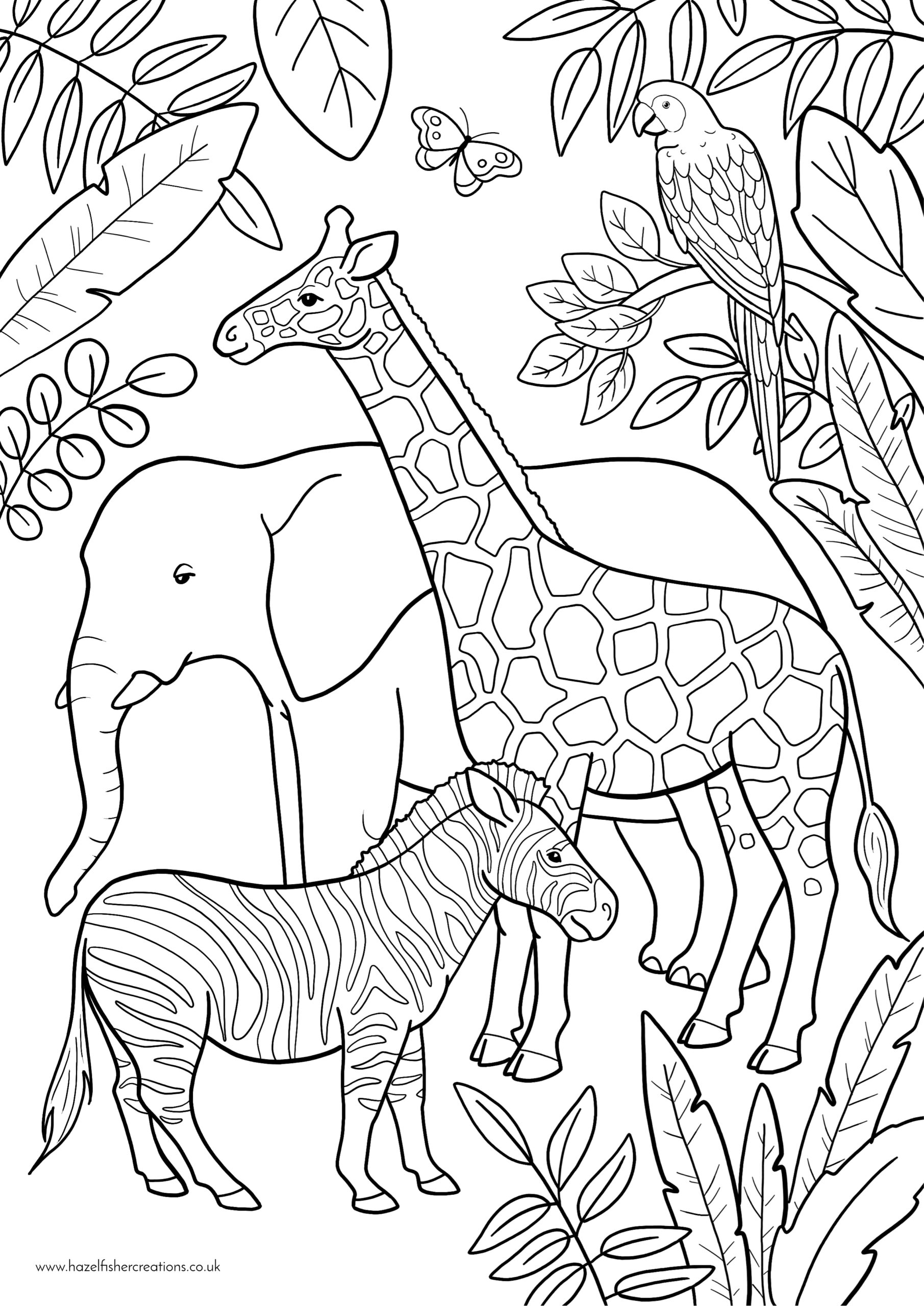 Zoo Animals Colouring In Activity Sheet Printables Worksheets Library